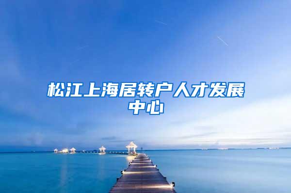 松江上海居转户人才发展中心