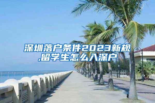 深圳落户条件2023新规,留学生怎么入深户