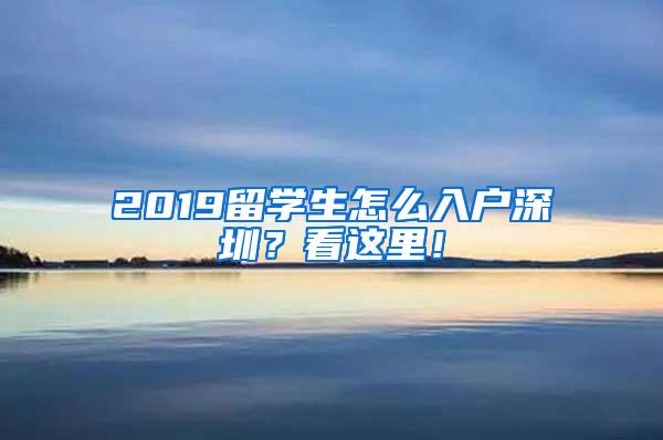 2019留学生怎么入户深圳？看这里！