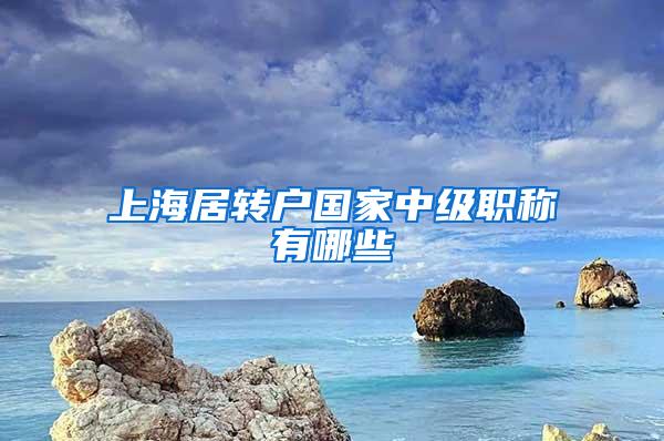 上海居转户国家中级职称有哪些