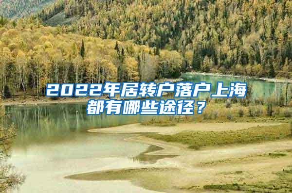 2022年居转户落户上海都有哪些途径？