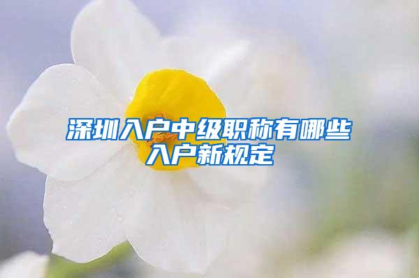 深圳入户中级职称有哪些入户新规定