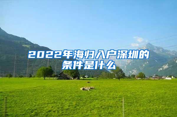 2022年海归入户深圳的条件是什么