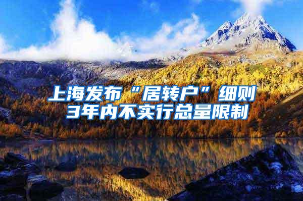 上海发布“居转户”细则 3年内不实行总量限制