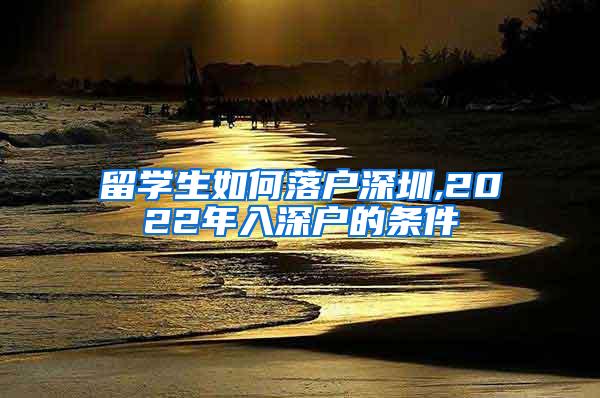 留学生如何落户深圳,2022年入深户的条件