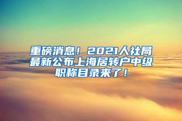 重磅消息！2021人社局最新公布上海居转户中级职称目录来了！