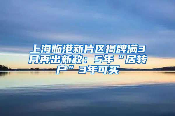 上海临港新片区揭牌满3月再出新政：5年“居转户”3年可买