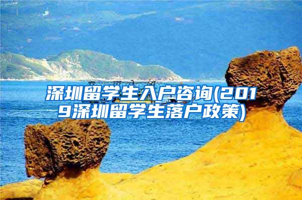 深圳留学生入户咨询(2019深圳留学生落户政策)