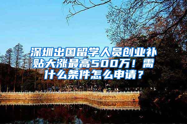 深圳出国留学人员创业补贴大涨最高500万！需什么条件怎么申请？