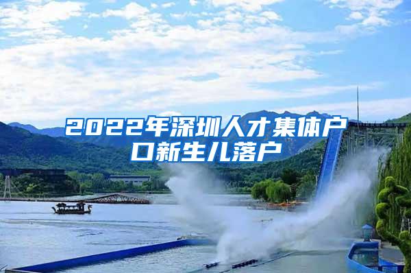 2022年深圳人才集体户口新生儿落户