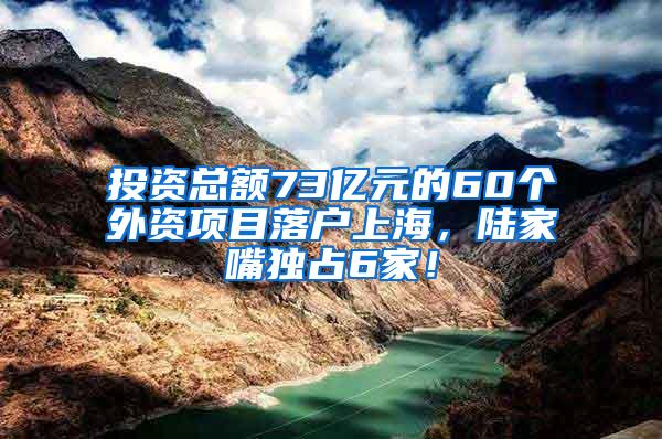 投资总额73亿元的60个外资项目落户上海，陆家嘴独占6家！