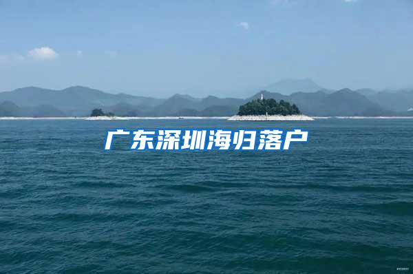 广东深圳海归落户