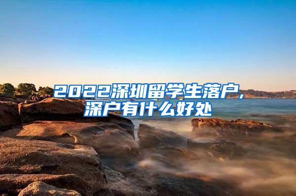 2022深圳留学生落户,深户有什么好处