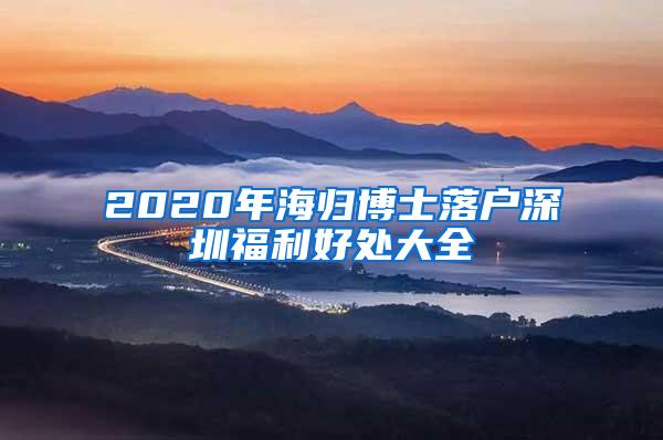 2020年海归博士落户深圳福利好处大全