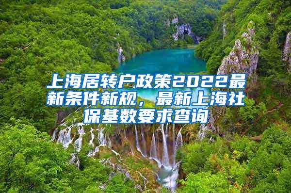 上海居转户政策2022最新条件新规，最新上海社保基数要求查询