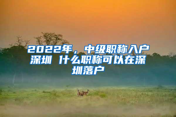 2022年，中级职称入户深圳 什么职称可以在深圳落户