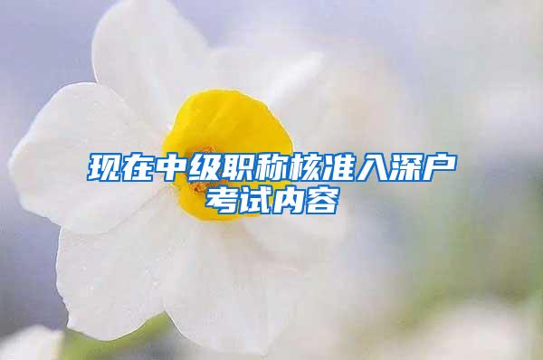 现在中级职称核准入深户考试内容