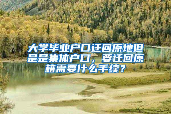 大学毕业户口迁回原地但是是集体户口，要迁回原籍需要什么手续？