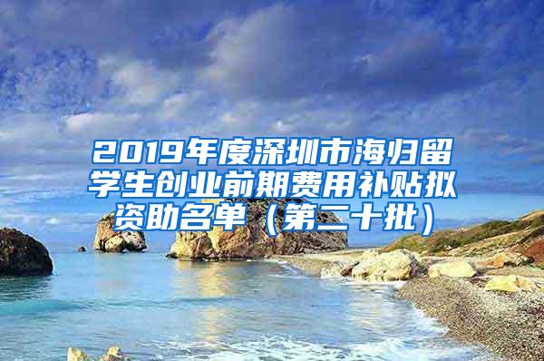 2019年度深圳市海归留学生创业前期费用补贴拟资助名单（第二十批）