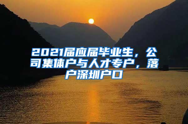 2021届应届毕业生，公司集体户与人才专户，落户深圳户口