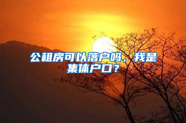 公租房可以落户吗，我是集体户口？