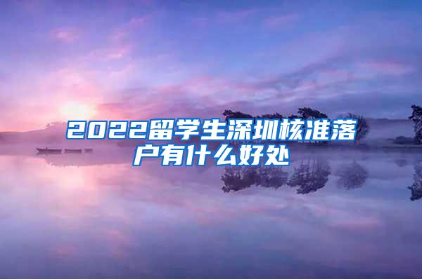 2022留学生深圳核准落户有什么好处