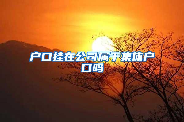 户口挂在公司属于集体户口吗