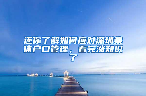 还你了解如何应对深圳集体户口管理，看完涨知识了