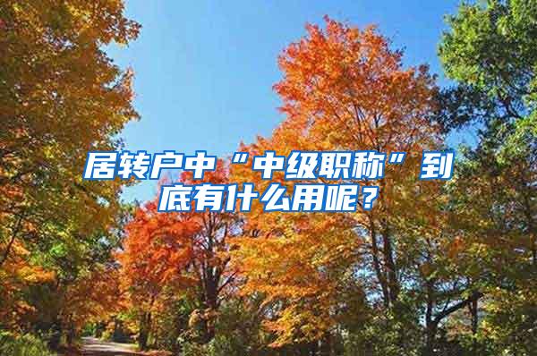 居转户中“中级职称”到底有什么用呢？