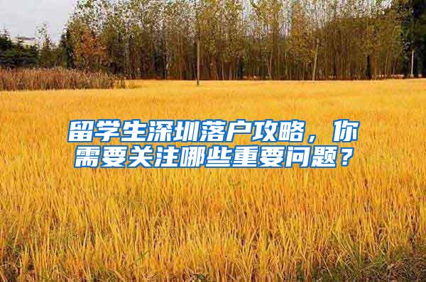 留学生深圳落户攻略，你需要关注哪些重要问题？