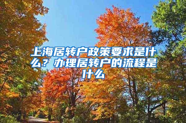 上海居转户政策要求是什么？办理居转户的流程是什么