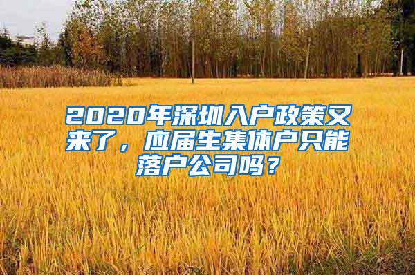 2020年深圳入户政策又来了，应届生集体户只能落户公司吗？