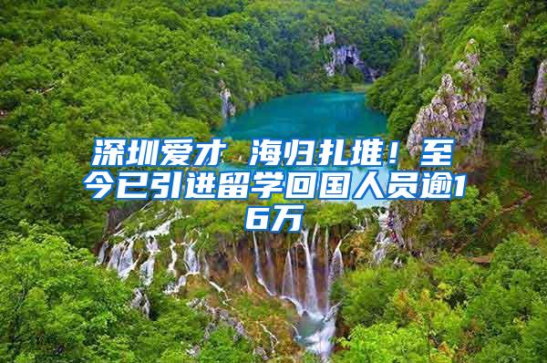 深圳爱才 海归扎堆！至今已引进留学回国人员逾16万