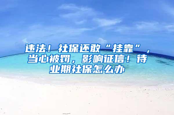 违法！社保还敢“挂靠”，当心被罚，影响征信！待业期社保怎么办