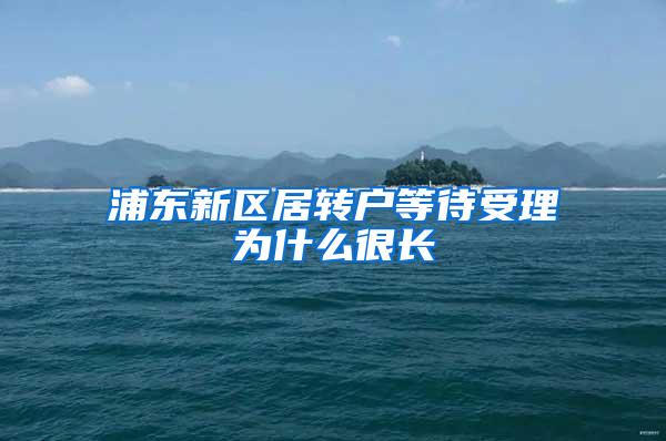 浦东新区居转户等待受理为什么很长