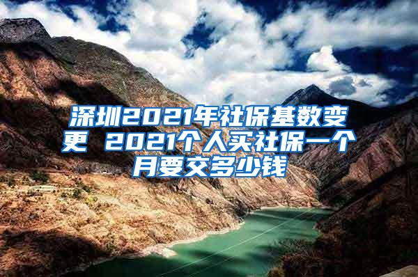 深圳2021年社保基数变更 2021个人买社保一个月要交多少钱