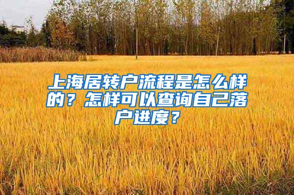 上海居转户流程是怎么样的？怎样可以查询自己落户进度？