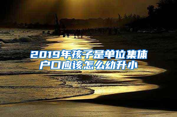 2019年孩子是单位集体户口应该怎么幼升小