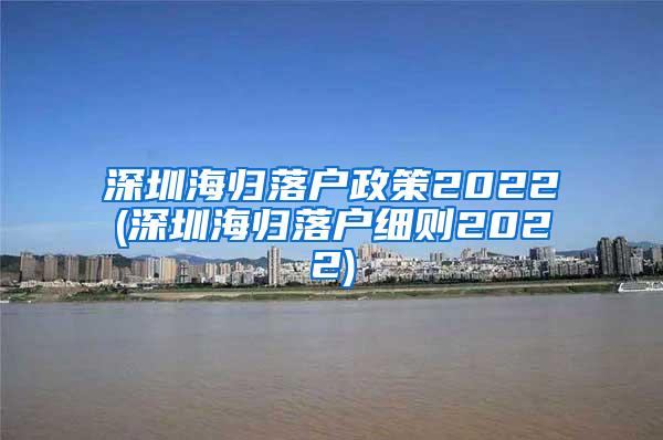 深圳海归落户政策2022(深圳海归落户细则2022)