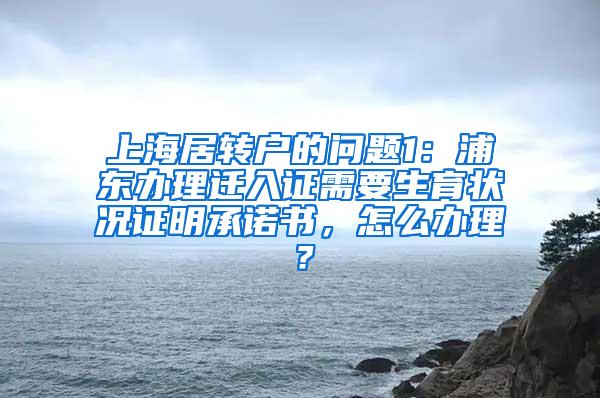 上海居转户的问题1：浦东办理迁入证需要生育状况证明承诺书，怎么办理？