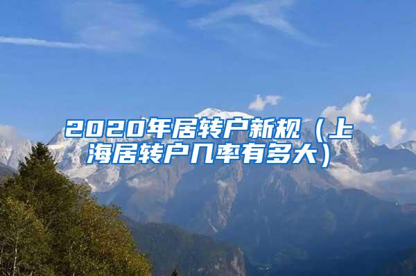 2020年居转户新规（上海居转户几率有多大）