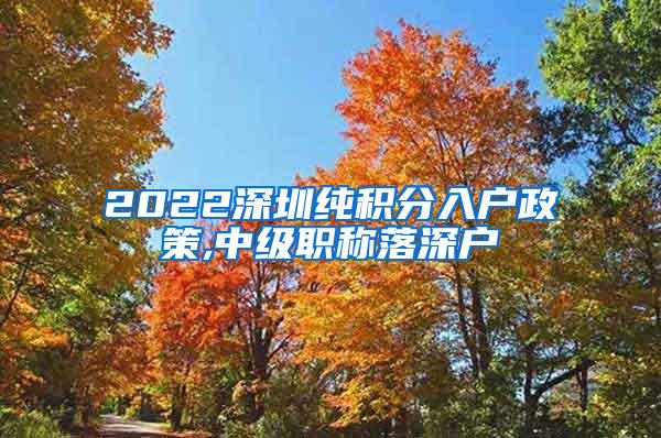 2022深圳纯积分入户政策,中级职称落深户