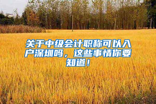 关于中级会计职称可以入户深圳吗，这些事情你要知道！