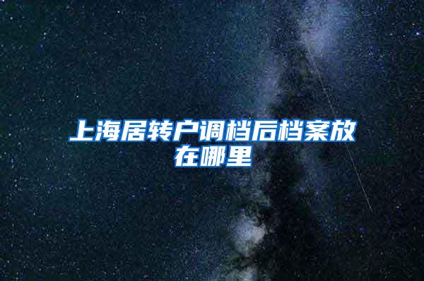 上海居转户调档后档案放在哪里