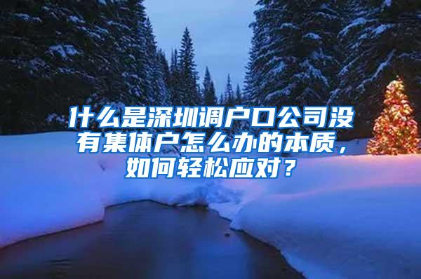 什么是深圳调户口公司没有集体户怎么办的本质，如何轻松应对？