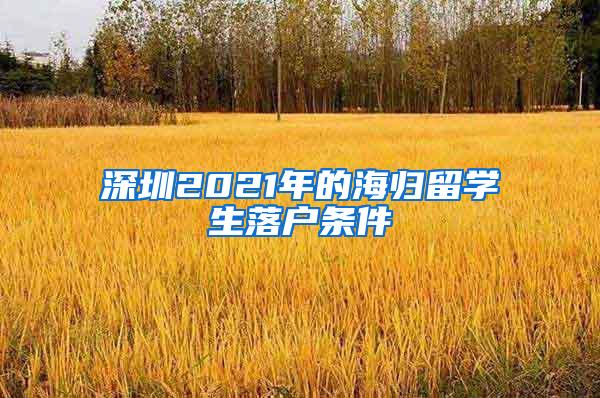 深圳2021年的海归留学生落户条件