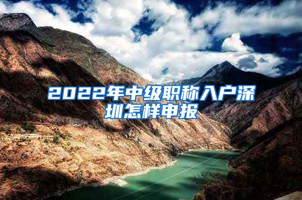 2022年中级职称入户深圳怎样申报