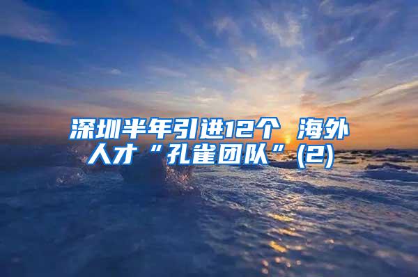 深圳半年引进12个 海外人才“孔雀团队”(2)