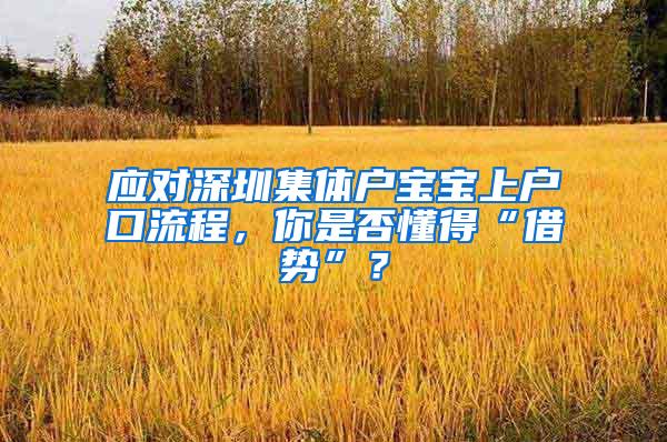 应对深圳集体户宝宝上户口流程，你是否懂得“借势”？