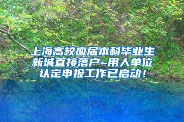 上海高校应届本科毕业生新城直接落户~用人单位认定申报工作已启动！